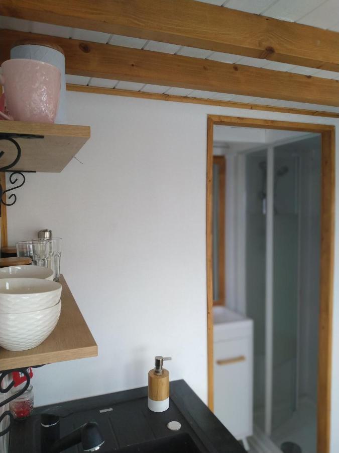 Villa Tiny House Cluj With Jacuzzi Sinnicoara Exterior foto