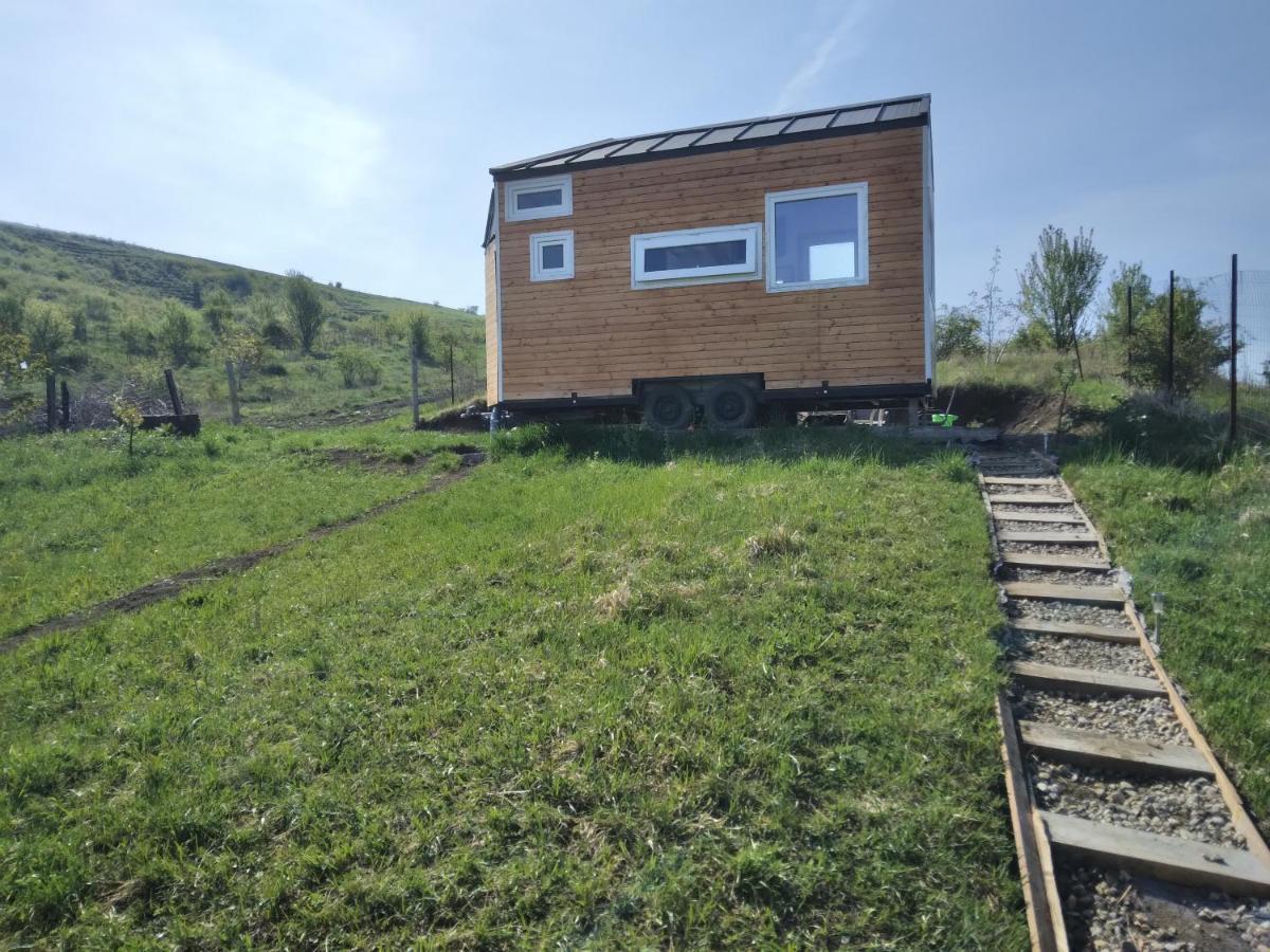 Villa Tiny House Cluj With Jacuzzi Sinnicoara Exterior foto