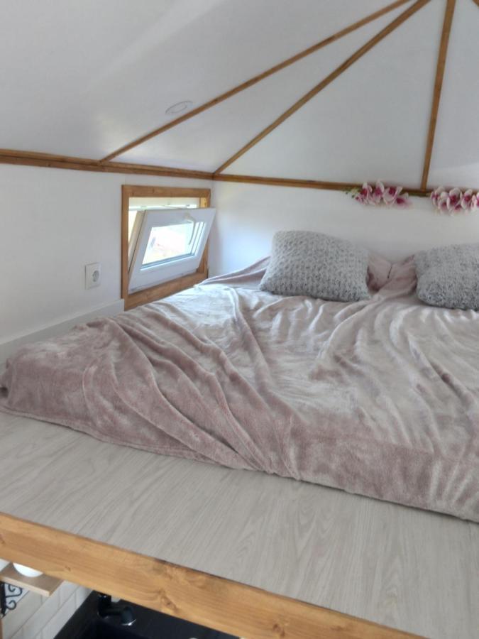 Villa Tiny House Cluj With Jacuzzi Sinnicoara Exterior foto